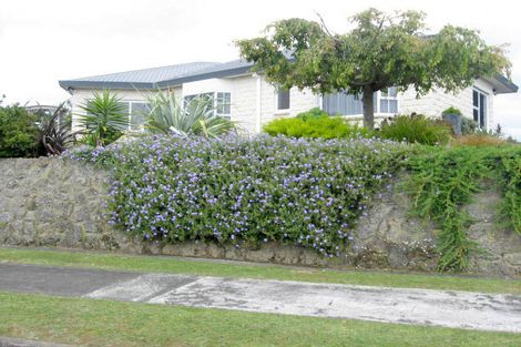 Photo of property in 45 Parkdale Drive, Aramoho, Whanganui, 4500