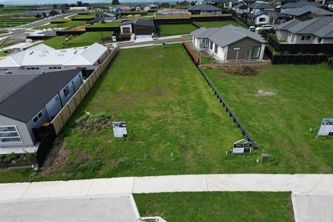 Photo of property in 24 Harp Street, Morrinsville, 3300