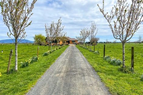 Photo of property in 599 Wallace Road, Ohaupo, Cambridge, 3495