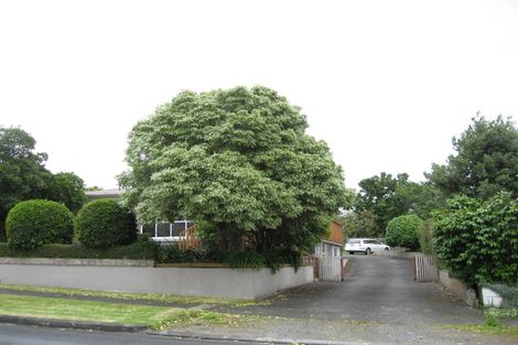 Photo of property in 121 Wellington Street, Pukekohe, 2120