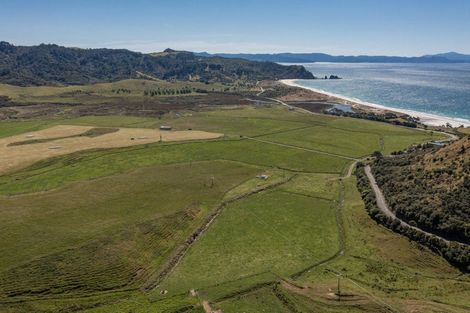 Photo of property in 550 Black Jack Road, Opito Bay, Whitianga, 3592