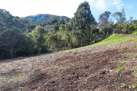 Photo of property in 104a Irishtown Road, Thames, 3500