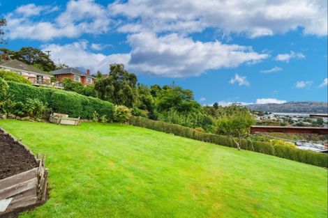 Photo of property in 56 Forfar Street, Clyde Hill, Dunedin, 9011