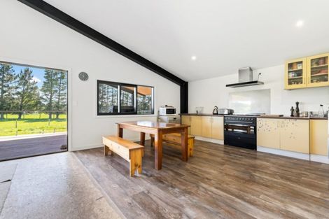 Photo of property in 339 Marshmans Road, Ashley, Rangiora, 7477