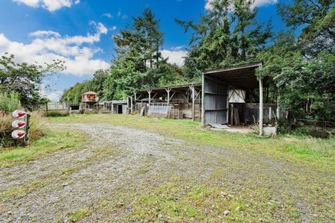 Photo of property in 687 Rakahouka Hedgehope Road, Mabel Bush, Invercargill, 9872