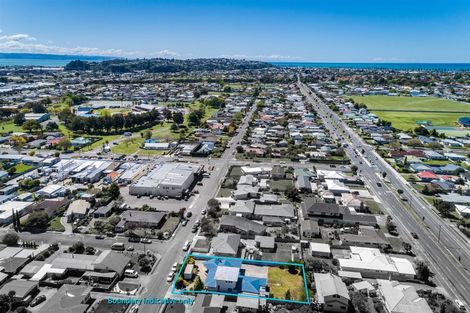 Photo of property in 60 Menin Road, Onekawa, Napier, 4110