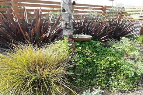 Photo of property in 4 Chaucer Street, Milton, 9220