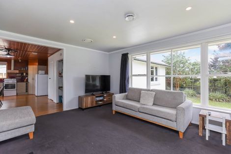 Photo of property in 61 Bridge Street, Netherby, Ashburton, 7700