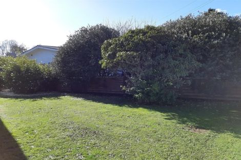 Photo of property in 50 Celia Street, Stratford, 4332