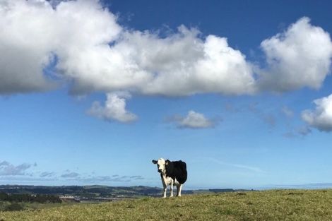 Photo of property in 176 Morrison Road, Arapohue, Dargaville, 0374