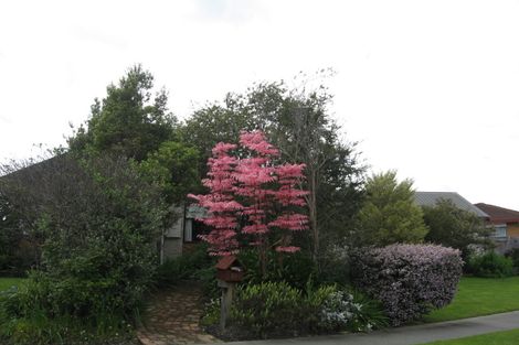 Photo of property in 20 Stead Crescent, Stoke, Nelson, 7011