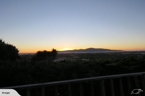 Photo of property in 115 Riwai Street, Paraparaumu, 5032