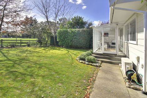 Photo of property in 43 Oak Street, Masterton, 5810