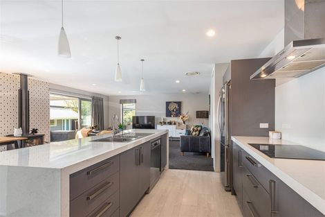 Photo of property in 29 Platform Way, Prebbleton, 7604