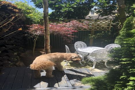 Photo of property in 5 Jefferson Street, Brooklyn, Wellington, 6021