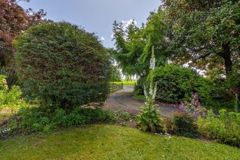 Photo of property in 393 Dawson Road, Taupiri, 3791