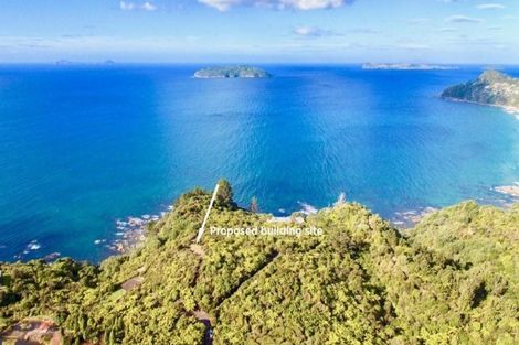 Photo of property in 210 Pumpkin Hill Road, Pumpkin Hill, Whitianga, 3591