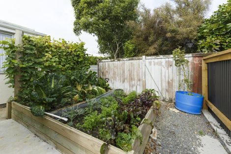Photo of property in 12a Hurley Place, Awapuni, Palmerston North, 4412