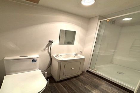 Photo of property in 15 Littlebourne Road, Roslyn, Dunedin, 9010