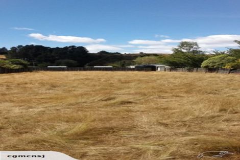 Photo of property in 10 Achray Street, Waiau, 7332