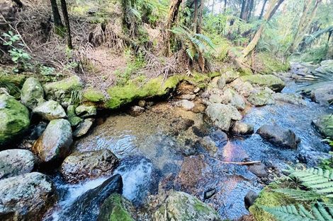 Photo of property in 600 Buffalo Road, Coromandel, 3506