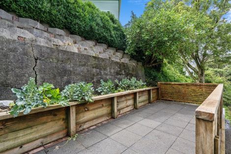 Photo of property in 25 Mccoll Street, Vogeltown, Wellington, 6021