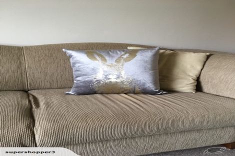 Photo of property in 16 Freyberg Street, Roslyn, Palmerston North, 4414