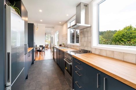 Photo of property in 41 Greenock Street, Glenross, Dunedin, 9011