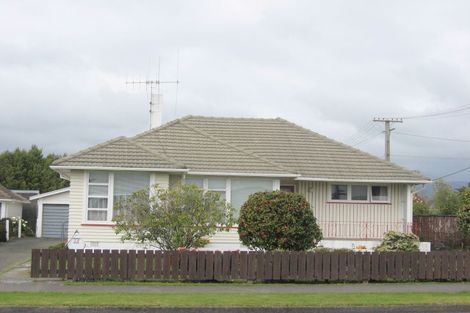 Photo of property in 20 Winchester Street, Levin, 5510