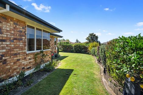 Photo of property in 9 Wilkinson Place, Richmond, 7020