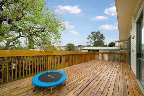 Photo of property in 55 Batkin Road, New Windsor, Auckland, 0600