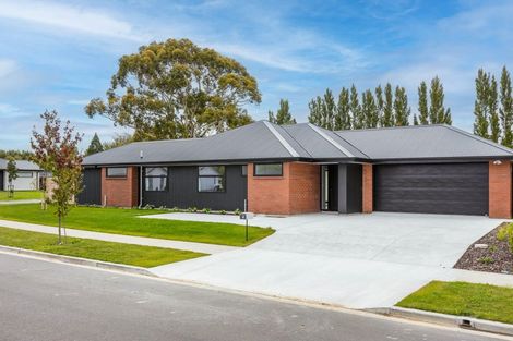 Photo of property in 7 Mcquillan Avenue, Woodend, 7610