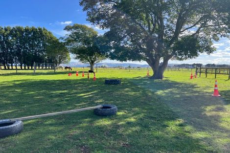 Photo of property in 141 Valley Road, Woodville, 4998