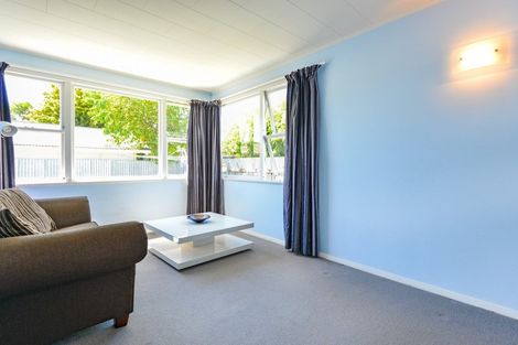 Photo of property in 1017 Frederick Street, Mahora, Hastings, 4120