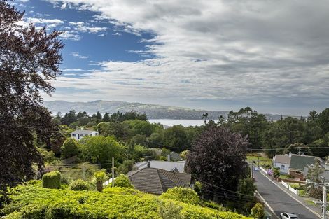 Photo of property in 21 Leven Street, Roslyn, Dunedin, 9010