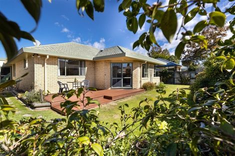 Photo of property in 31b Litchfield Street, Redwoodtown, Blenheim, 7201