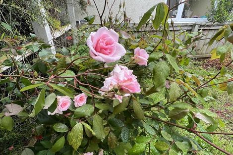 Photo of property in 16 Sargood Street, Maori Hill, Dunedin, 9010