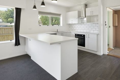 Photo of property in 55a Oxford Street, Richmond, 7020