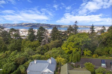 Photo of property in 73a Sligo Terrace, Roslyn, Dunedin, 9010