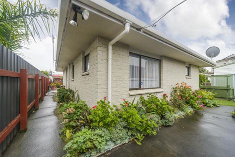 Photo of property in 237b Ruahine Street, Roslyn, Palmerston North, 4414