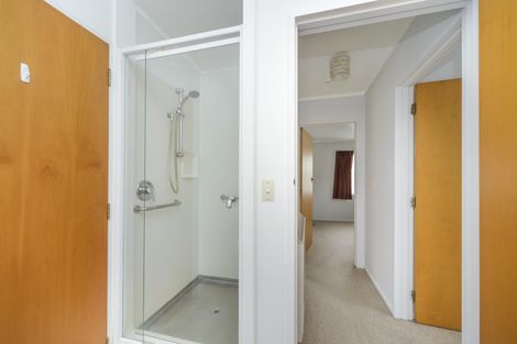 Photo of property in 237b Ruahine Street, Roslyn, Palmerston North, 4414