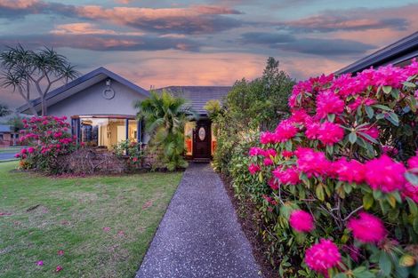 Photo of property in 46 Springbok Avenue, Whitianga, 3510