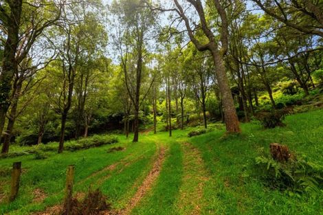 Photo of property in 594 Omanawa Road, Omanawa, Tauranga, 3171