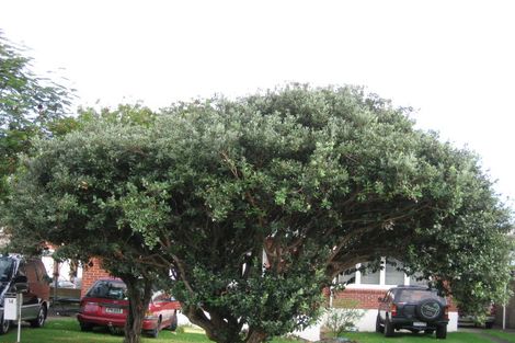 Photo of property in 14a Fairleigh Avenue, Mount Albert, Auckland, 1025