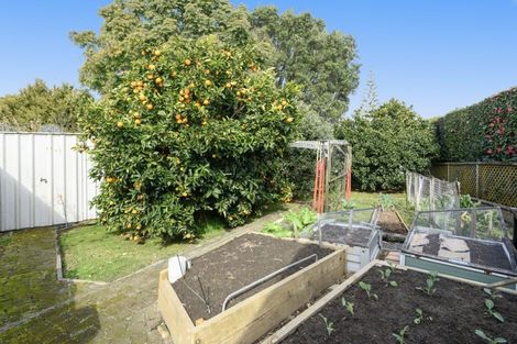 Photo of property in 561 Cambridge Road, Tauriko, Tauranga, 3110