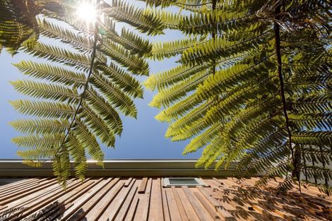 Photo of property in 25 Grove Avenue, Mount Maunganui, 3116