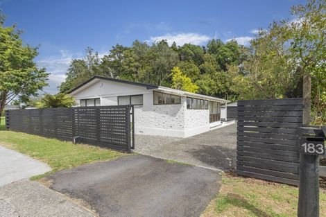 Photo of property in 183 Titi Road, Mauku, Pukekohe, 2678