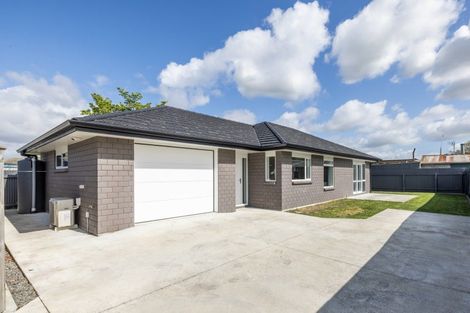 Photo of property in 173 Nikau Street, Saint Leonards, Hastings, 4120