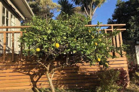 Photo of property in 37 Mountbatten Avenue, Hillcrest, Auckland, 0627