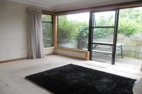 Photo of property in 199 Signal Hill Road, Opoho, Dunedin, 9010